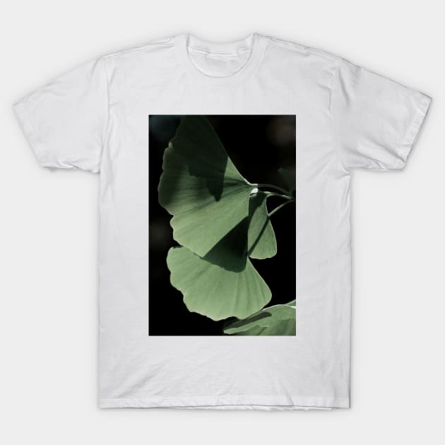 Ginko 03 T-Shirt by froileinjuno